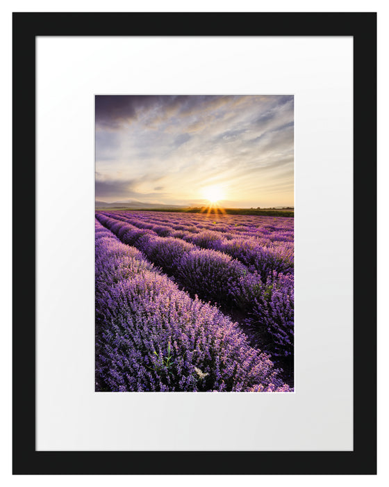 Traumhafte Lavendel Provence Passepartout 38x30