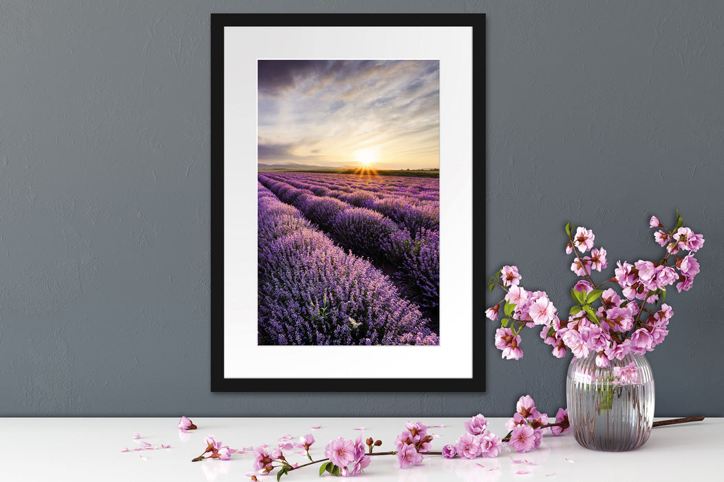 Traumhafte Lavendel Provence Passepartout Wohnzimmer