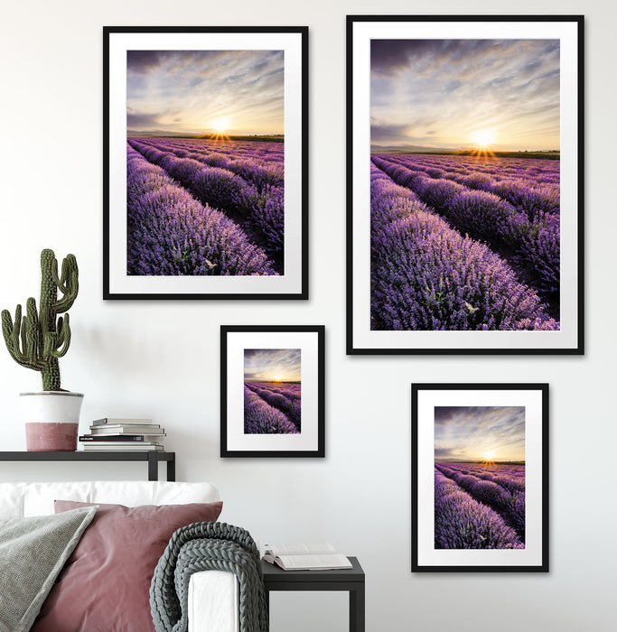 Traumhafte Lavendel Provence Passepartout Dekovorschlag