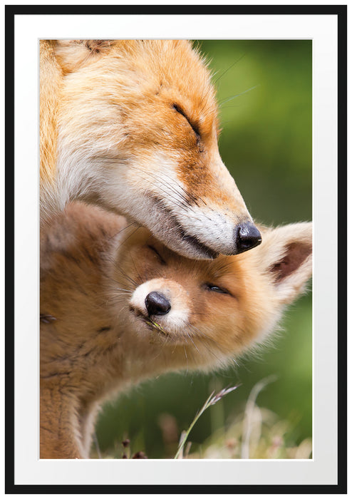 Pixxprint Kuschelnde Füchse, im Galerie-Passepartout Bilderrahmen