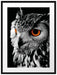 Dark Eule mit orangen Augen Passepartout 80x60