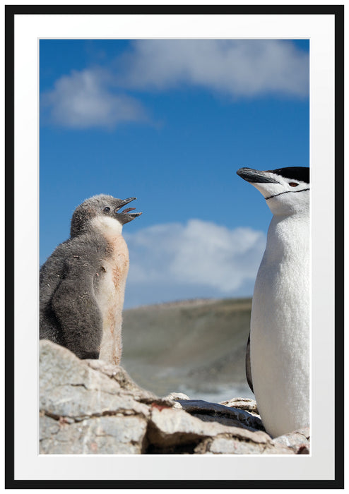 Pinguin mit süßen Küken Passepartout 100x70