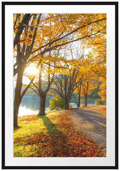 Pixxprint Sonniger Park am See, im Galerie-Passepartout Bilderrahmen