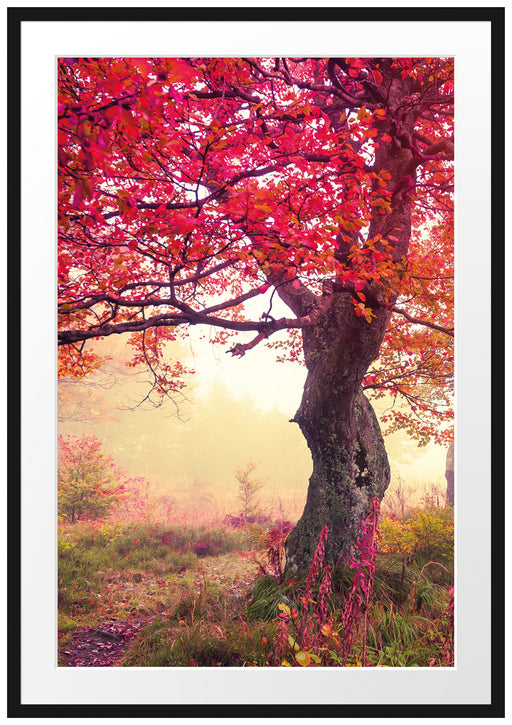 Traumhafte Herbstlandschaft Passepartout 100x70