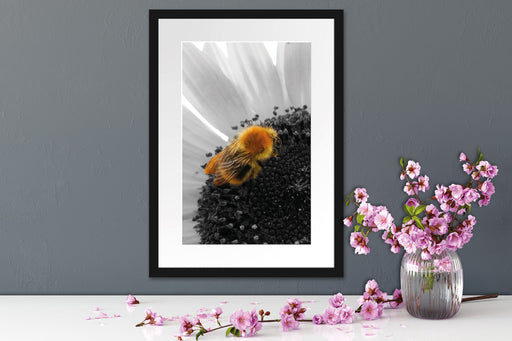 süße Biene auf großer Sonnenblume Passepartout Wohnzimmer