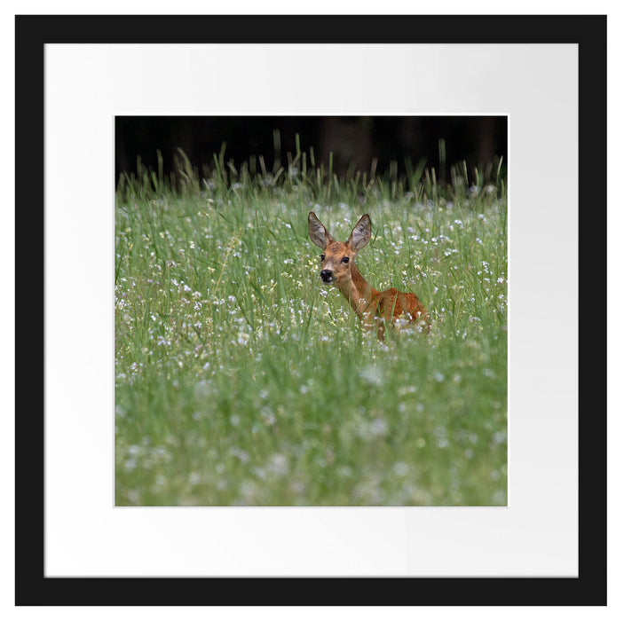 kleines Rehkitz auf Wiese Passepartout Quadratisch 40x40