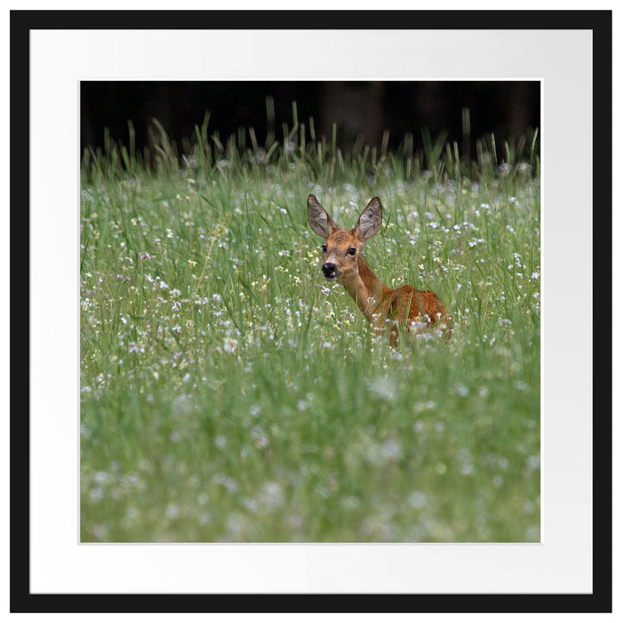 kleines Rehkitz auf Wiese Passepartout Quadratisch 55x55