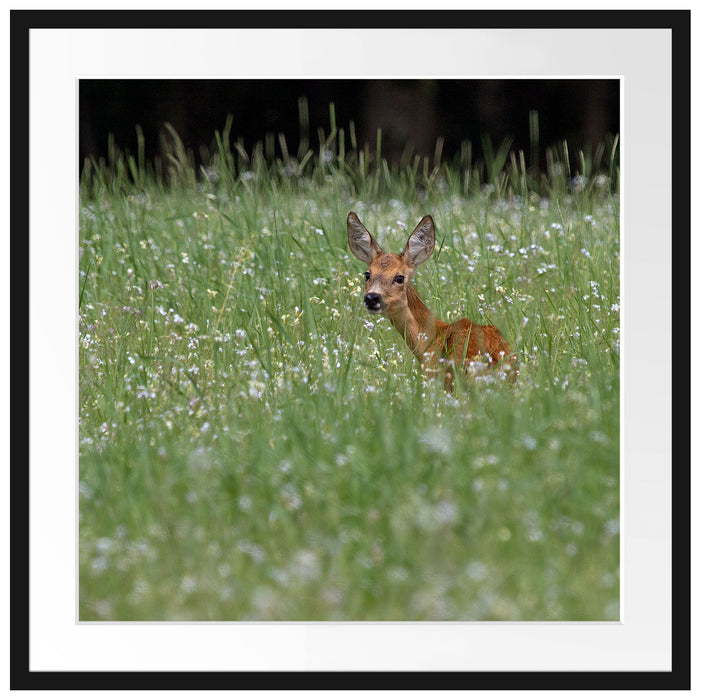 kleines Rehkitz auf Wiese Passepartout Quadratisch 70x70