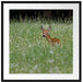 kleines Rehkitz auf Wiese Passepartout Quadratisch 70x70