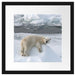 Eisbär auf Eisberg Passepartout Quadratisch 40x40