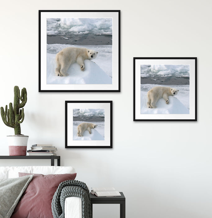 Eisbär auf Eisberg Quadratisch Passepartout Wohnzimmer