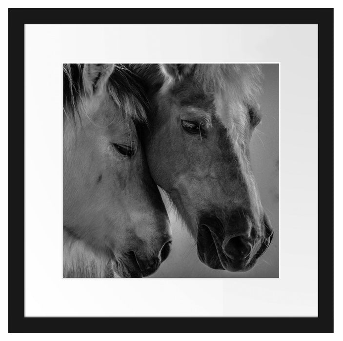 zwei liebevolle Pferde Passepartout Quadratisch 40x40
