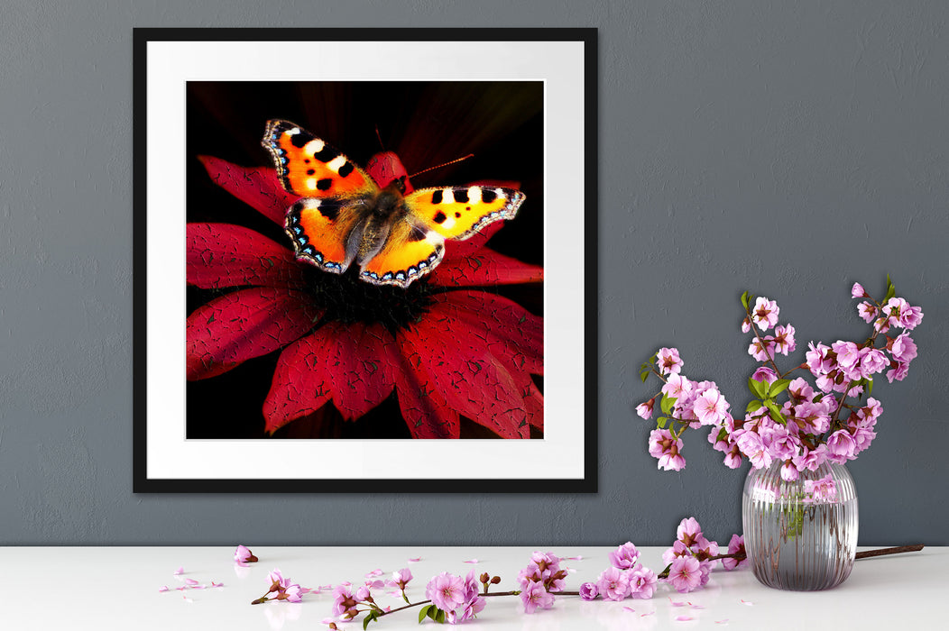 Schmetterling auf roter Blüte Quadratisch Passepartout Dekovorschlag