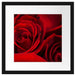 rote Rosen Passepartout Quadratisch 40x40