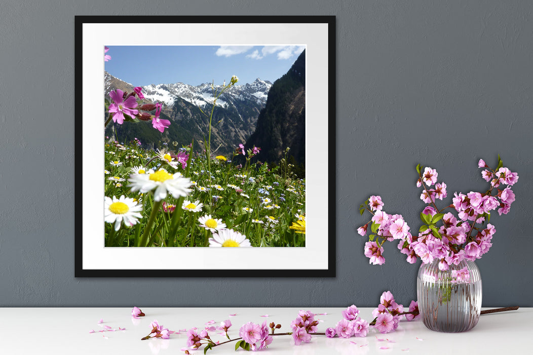 Wunderschöne Blumen Alpenwiese Quadratisch Passepartout Dekovorschlag