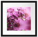 Wunderschöne Orchideenblüten Passepartout Quadratisch 40x40