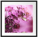 Wunderschöne Orchideenblüten Passepartout Quadratisch 55x55