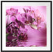 Wunderschöne Orchideenblüten Passepartout Quadratisch 70x70