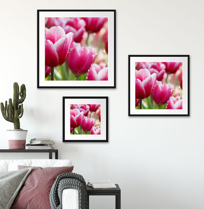 Tulpen mit Morgentau Quadratisch Passepartout Wohnzimmer