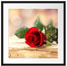 Rose auf Holztisch Passepartout Quadratisch 55x55