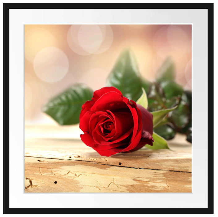 Rose auf Holztisch Passepartout Quadratisch 70x70