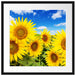 Sonnenblumenwiese unter Himmel Passepartout Quadratisch 55x55