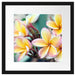 Monoi Blüten auf Hawaii Passepartout Quadratisch 40x40