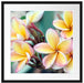 Monoi Blüten auf Hawaii Passepartout Quadratisch 55x55