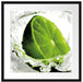 Limette fällt in Wasser Passepartout Quadratisch 55x55