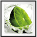 Limette fällt in Wasser Passepartout Quadratisch 70x70