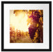 Weinberg im Abendlicht Passepartout Quadratisch 40x40