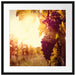 Weinberg im Abendlicht Passepartout Quadratisch 55x55