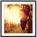 Weinberg im Abendlicht Passepartout Quadratisch 70x70