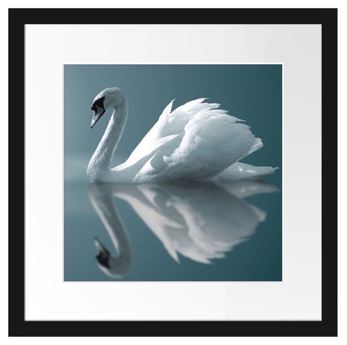 Edler weißer Schwan auf See Passepartout Quadratisch 40x40