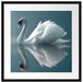 Edler weißer Schwan auf See Passepartout Quadratisch 55x55