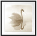Schwan im Morgennebel Passepartout Quadratisch 55x55