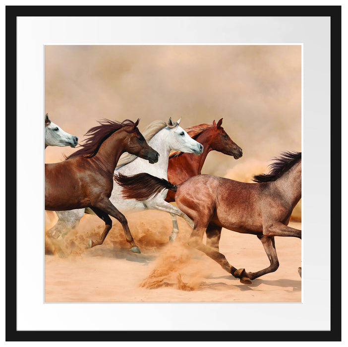 Western Pferde in Wüste Passepartout Quadratisch 55x55