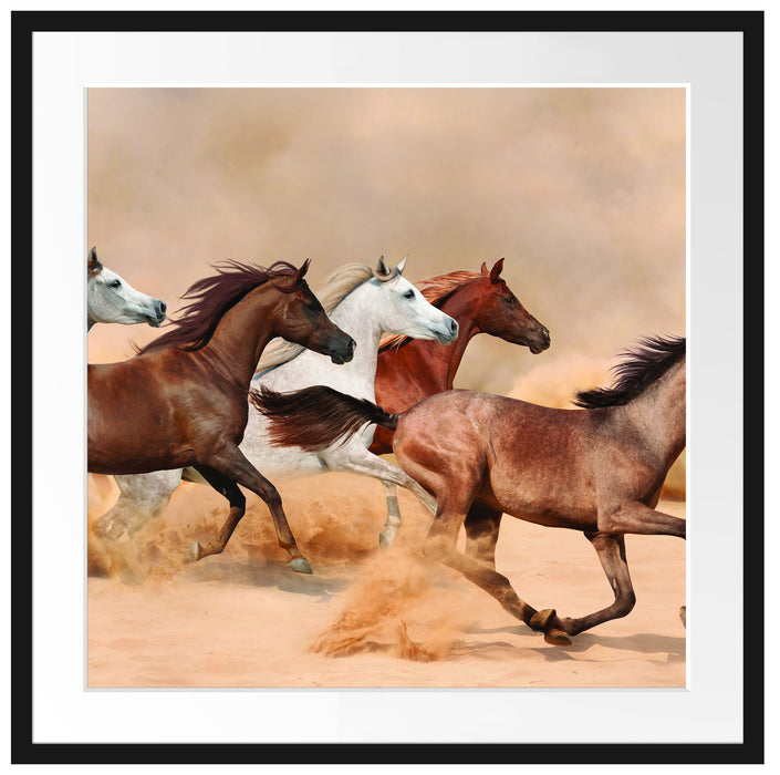 Western Pferde in Wüste Passepartout Quadratisch 70x70