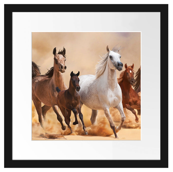 Western Pferde mit Fohlen Passepartout Quadratisch 40x40