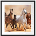 Western Pferde mit Fohlen Passepartout Quadratisch 55x55