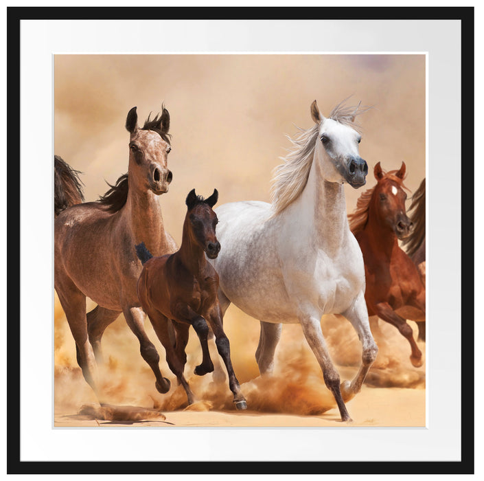 Western Pferde mit Fohlen Passepartout Quadratisch 70x70