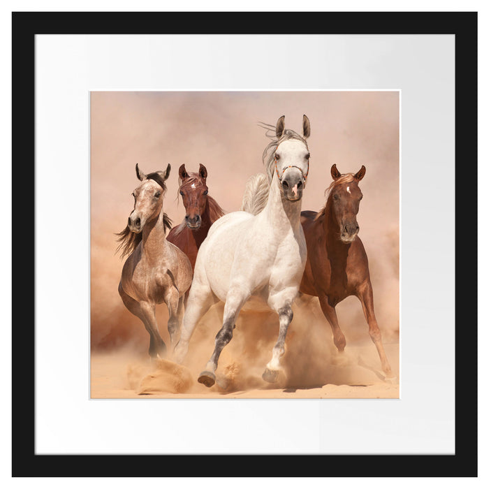 Western Pferde in Wüste Passepartout Quadratisch 40x40