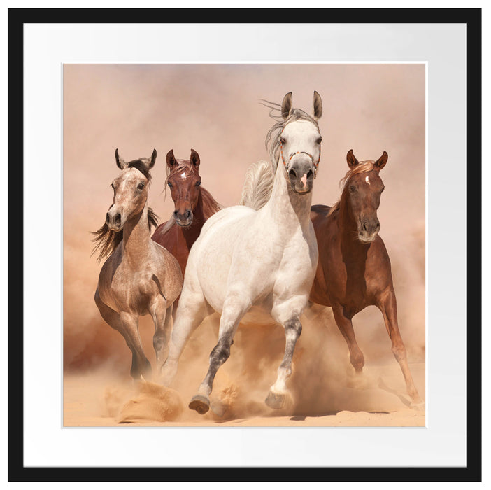 Western Pferde in Wüste Passepartout Quadratisch 55x55