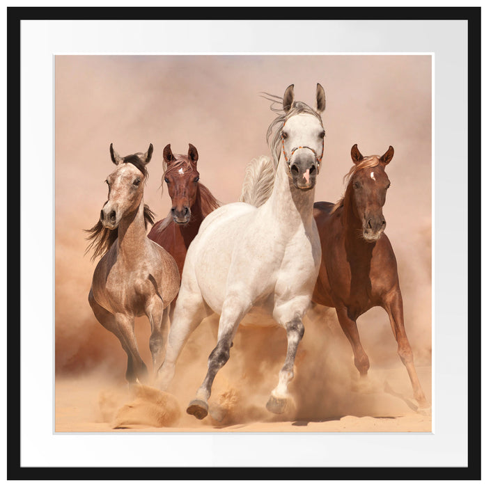 Western Pferde in Wüste Passepartout Quadratisch 70x70