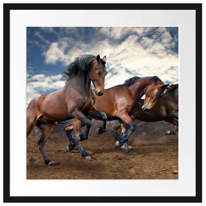 Wilde freie Pferde Passepartout Quadratisch 55x55