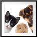 Trio Hund Katze Meerschwein Passepartout Quadratisch 55x55