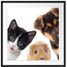 Trio Hund Katze Meerschwein Passepartout Quadratisch 70x70