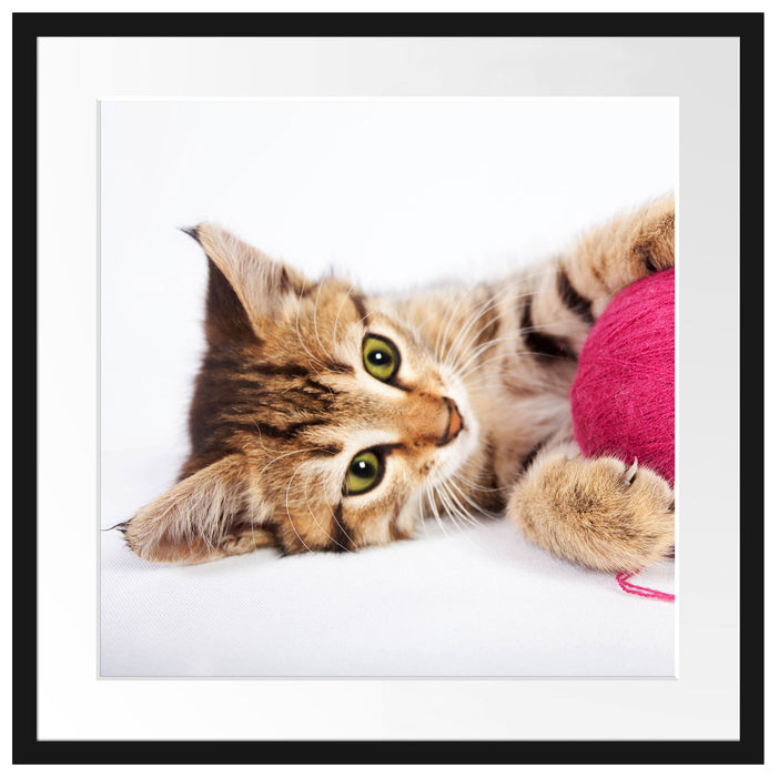 Kätzchen mit Wollknäuel Passepartout Quadratisch 55x55