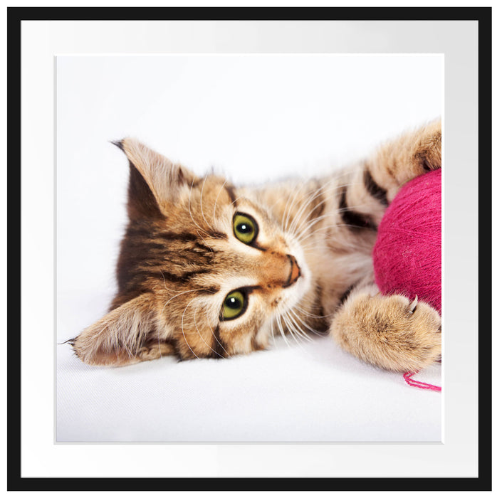 Kätzchen mit Wollknäuel Passepartout Quadratisch 70x70