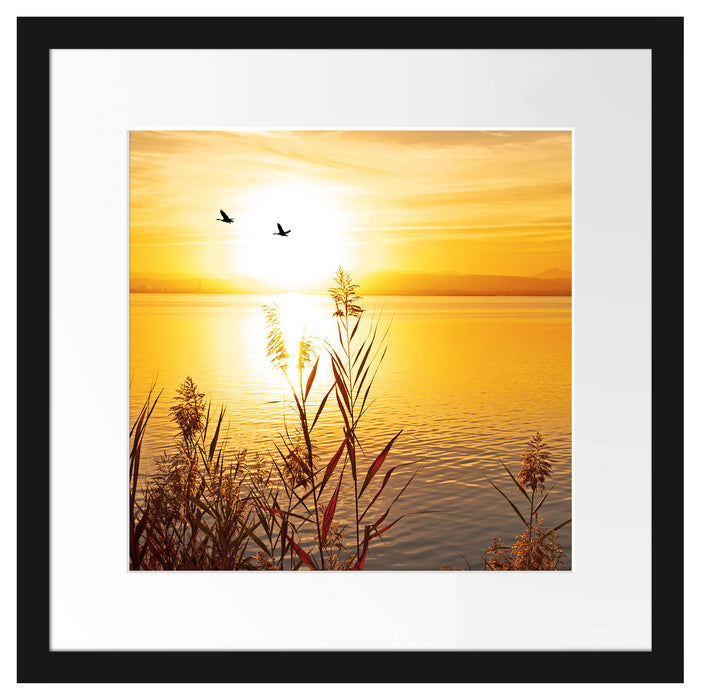 Sonnenuntergang am See Passepartout Quadratisch 40x40